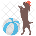 Dog Circus Icon