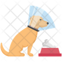 Dog Cone Sick Health Icon