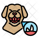 Dog Teeth Icon
