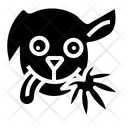 Dog Treat  Icon