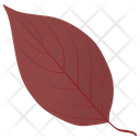 Dogwood In Fall  Icon