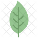 Dogwood leaf  Icon