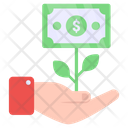 Dollar Plant Care Icon