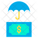 Dollar Protection Icon