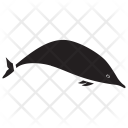Dolphin Mammal Sea Icon