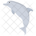 Dolphin Fish Mammal Icon