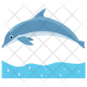 Dolphin Jumping Cartoon Jumping Dolphin Icon
