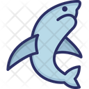 Dolphin Mammal Animal Icon