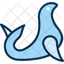 Dolphin Seal Fish Fish Icon