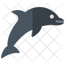 Dolphin Cute Penguin  Icon