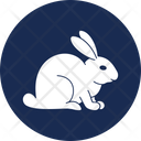 Domestic Animal Hare Pet Animal Icon