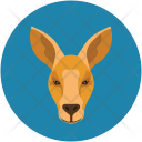 Donkey Safari Oo Icon