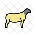 Dorper Sheep Icon