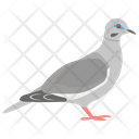 Pigeon Dove Flying Bird Icon