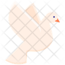 Dove Bird Love Icon