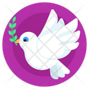Peace Bird Dove Columbidae Icon