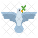 Dove Peace Bird Icon