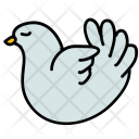 Dove Bird Icon