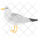 Dove Columbidae Bird Icon