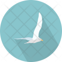 Dove Seagull Aves Icon
