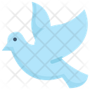 Dove Bird Animal Icon