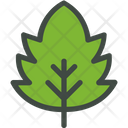 Downy Hawthorn Hawthorn Leaf Icon