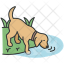 Drinking Water  Icon