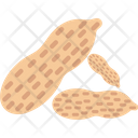 Dry Fruit Food Groundnut Icon