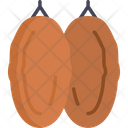 Dry Fruit Icon