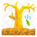 Dry Tree Drought Weather Dry Icon
