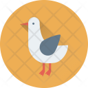 Duck Goose Domestic Icon