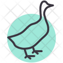 Duck Livestock Bird Icon