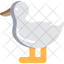 Duckm Duck Bath Duck Icon