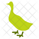 Duck Bird Poultry Icon