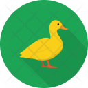 Duck Bird Animal Icon