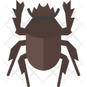 Dung Beetle Icon