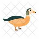 Dwarf Goose African Icon