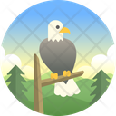 Eagle Bald Eagle Bird Icon