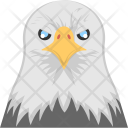 Eagle Head Hawk Icon