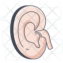 Ear Hearing Sense Ear Organ Icon
