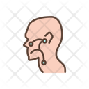 Ear, nose and throat  Icon