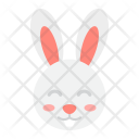 Easter Rabbit Bunny Icon