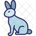 Easter Easter Bunny Easter Hare Icon