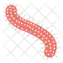 Ebola Virus Disease Icon