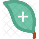 Eco Icon