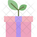 Eco Gift Gift Box Icon