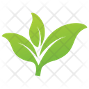 Eco Leaves Vector Leaves Leaves Logo Icon