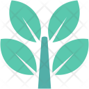 Ecology  Icon