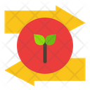 Ecology Board Icon