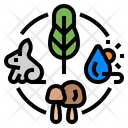 Ecosystem Climate Change Environment Icon
